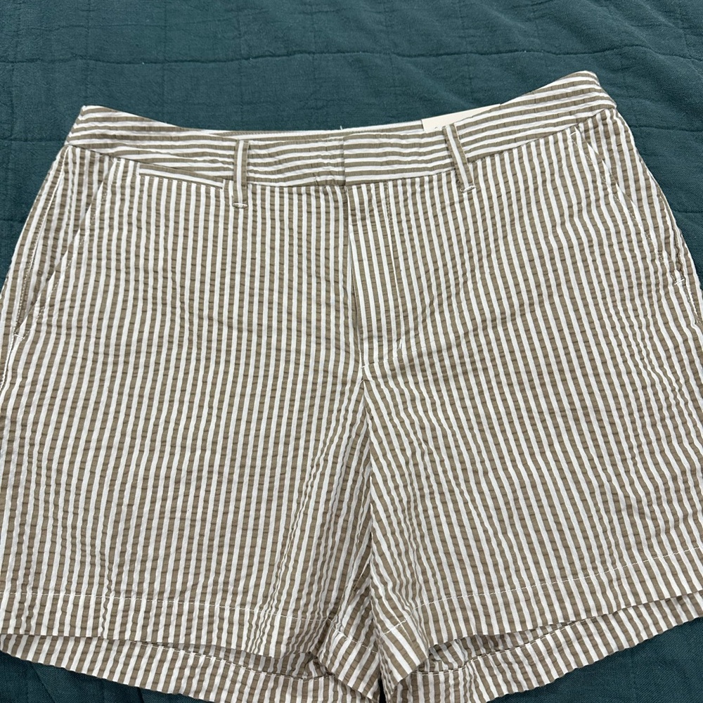 a new day Brown Striped Women's Shorts